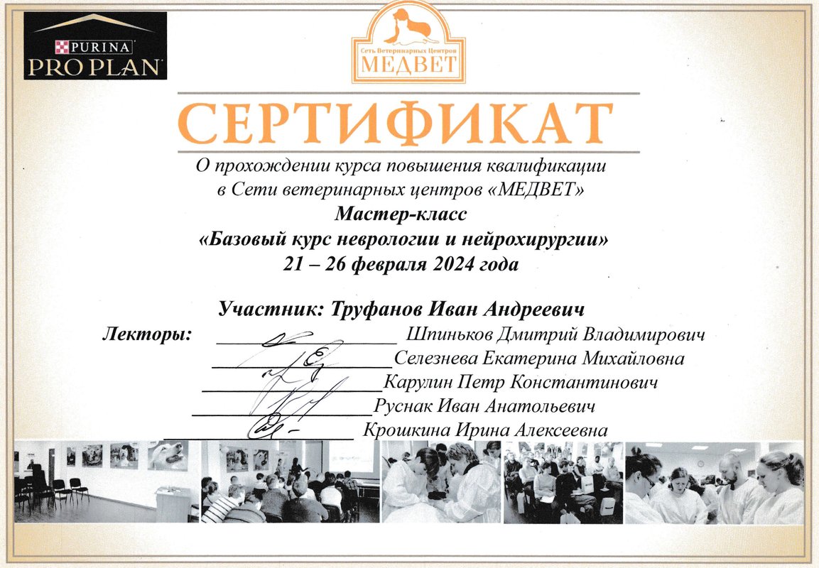 Документ или сертификат