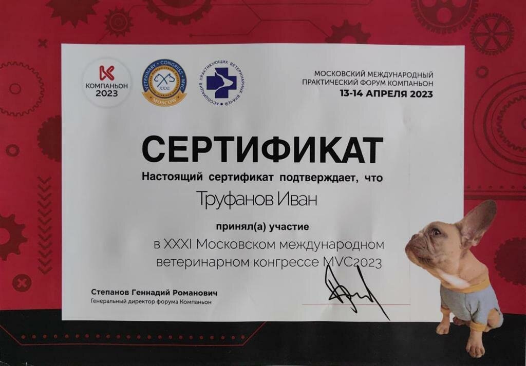 Документ или сертификат
