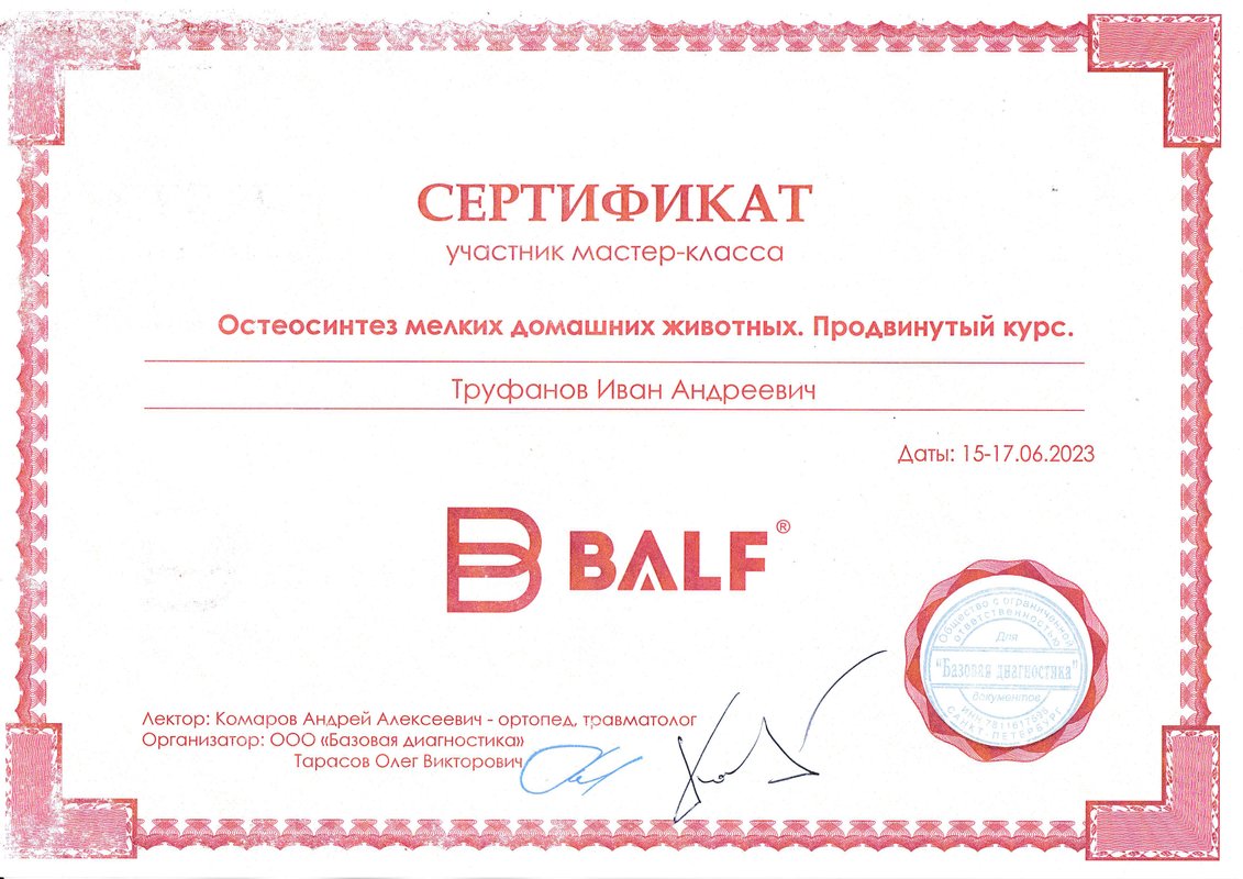Документ или сертификат