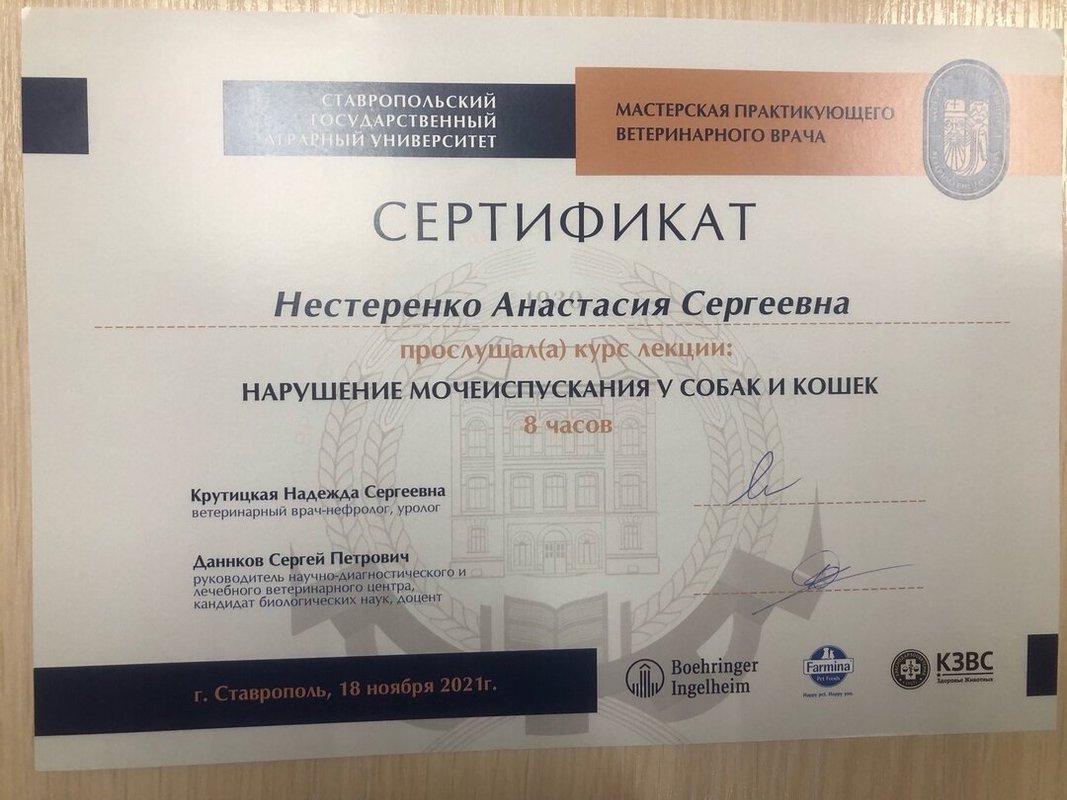 Фото врача