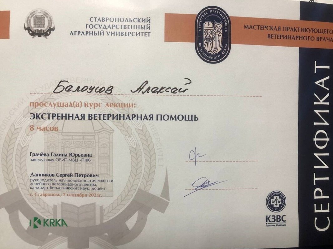 Документ или сертификат