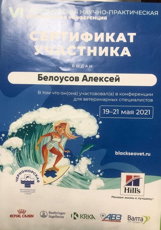 Документ или сертификат