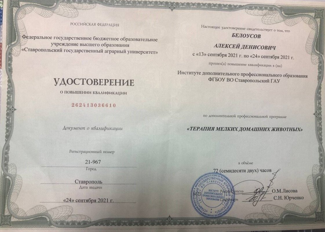 Документ или сертификат
