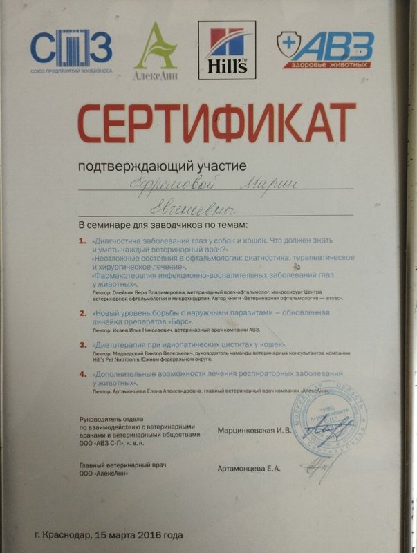 Документ или сертификат