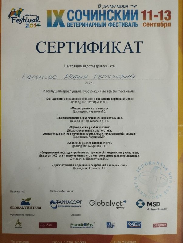 Документ или сертификат
