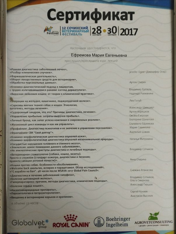 Документ или сертификат