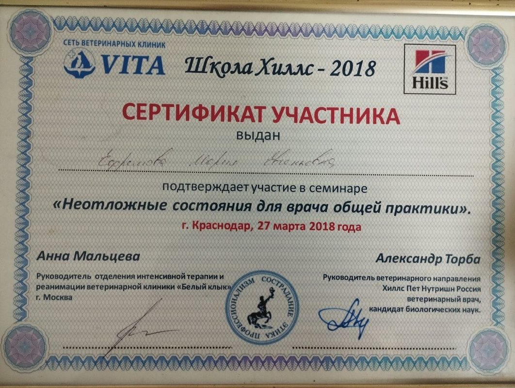 Документ или сертификат