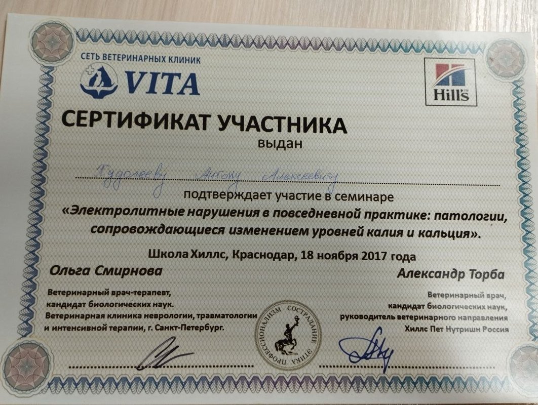 Документ или сертификат