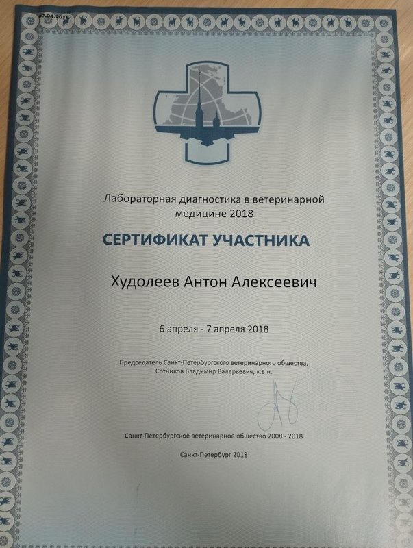 Документ или сертификат