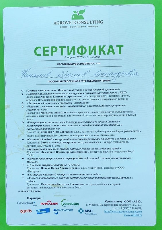 Документ или сертификат