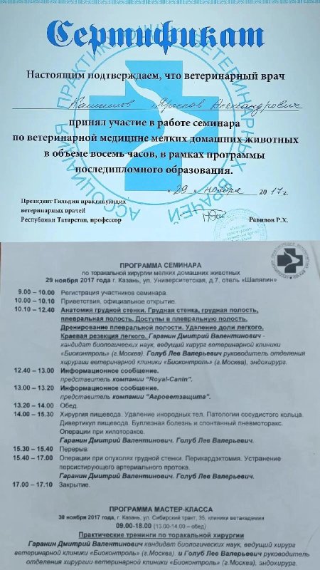 Документ или сертификат