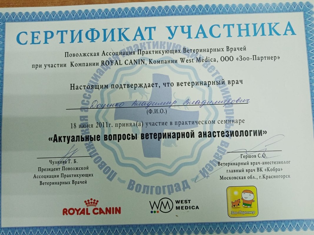 Документ или сертификат