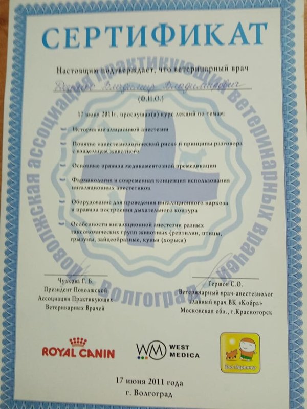 Документ или сертификат