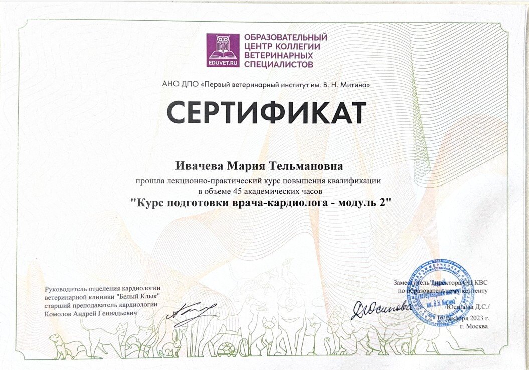 Документ или сертификат