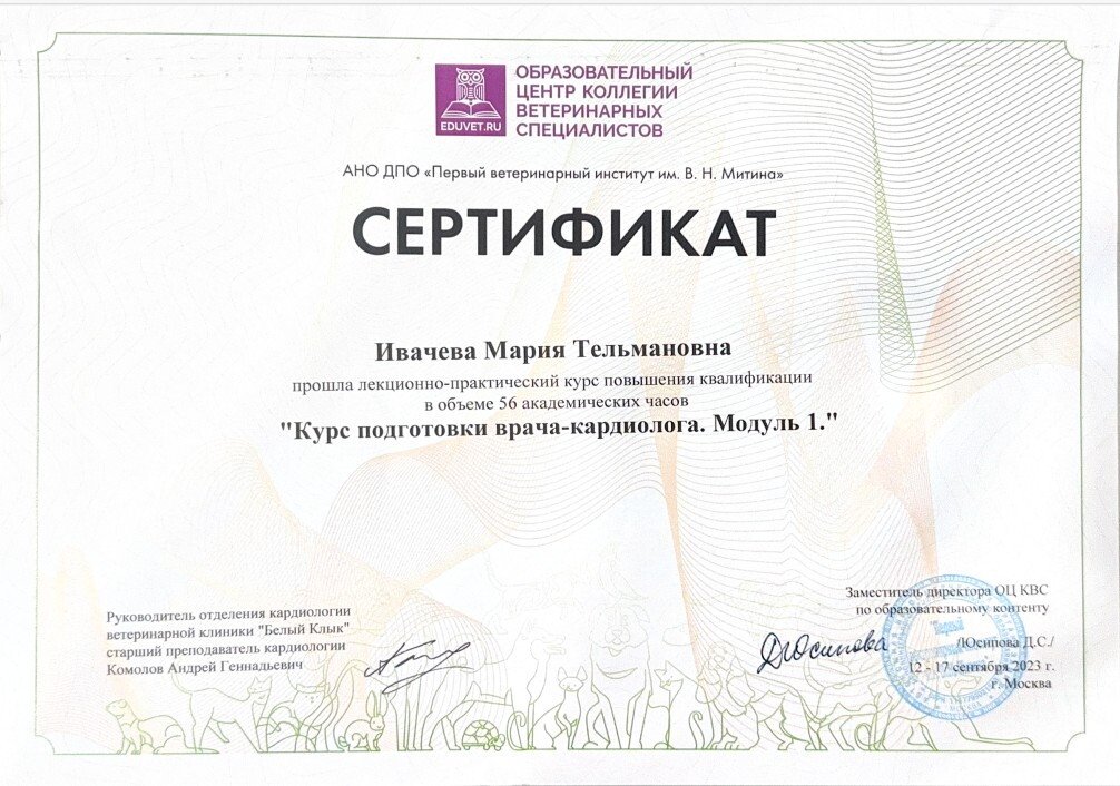 Документ или сертификат