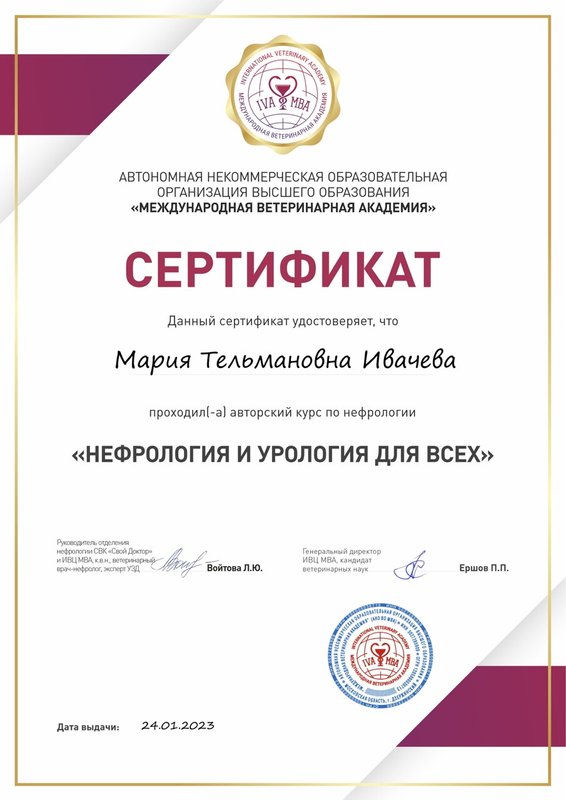 Документ или сертификат