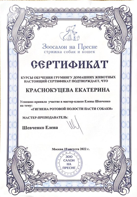 Документ или сертификат