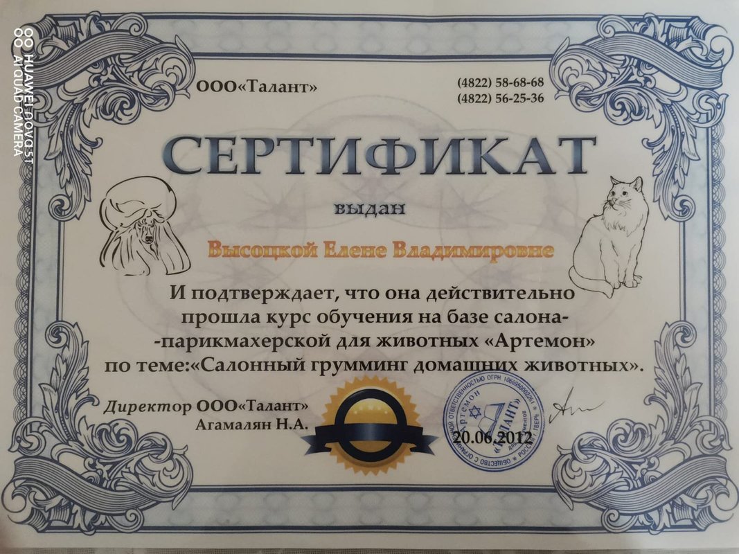 Документ или сертификат