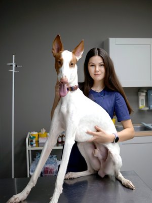 Фото врача Аннушкина Татьяна Дмитриевна