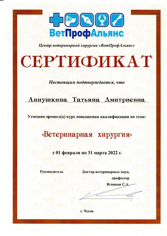 Документ или сертификат