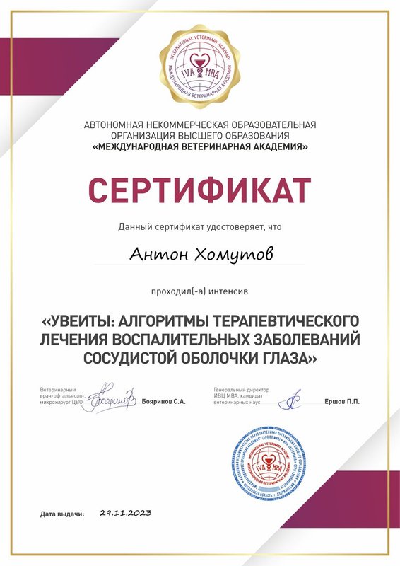 Документ или сертификат