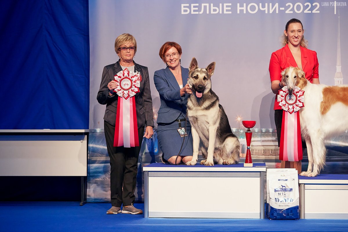 Фото врача