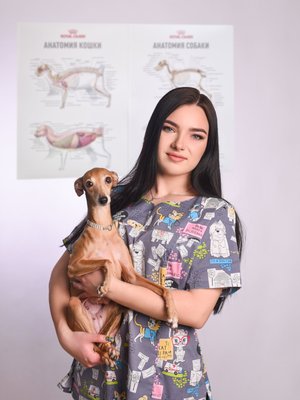 Фото врача Попова Елена Анатольевна