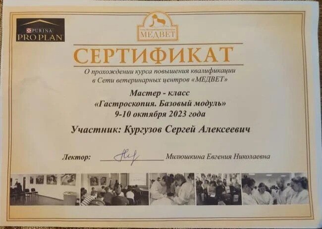 Документ или сертификат