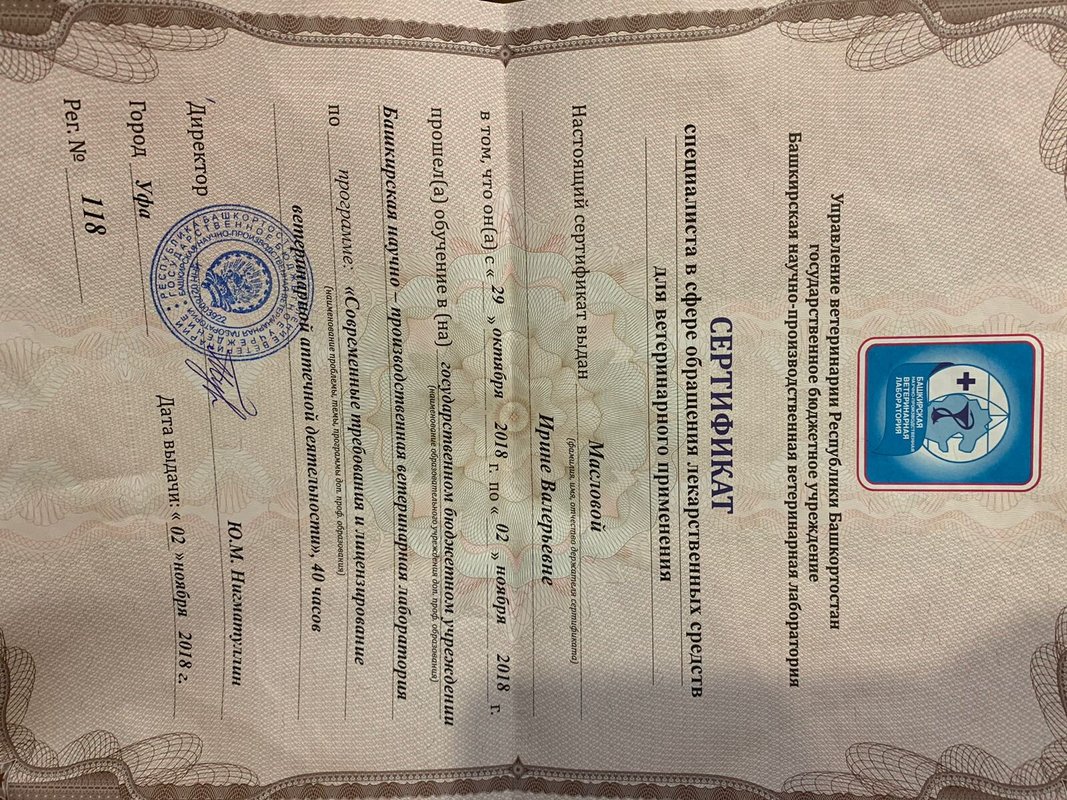 Документ или сертификат