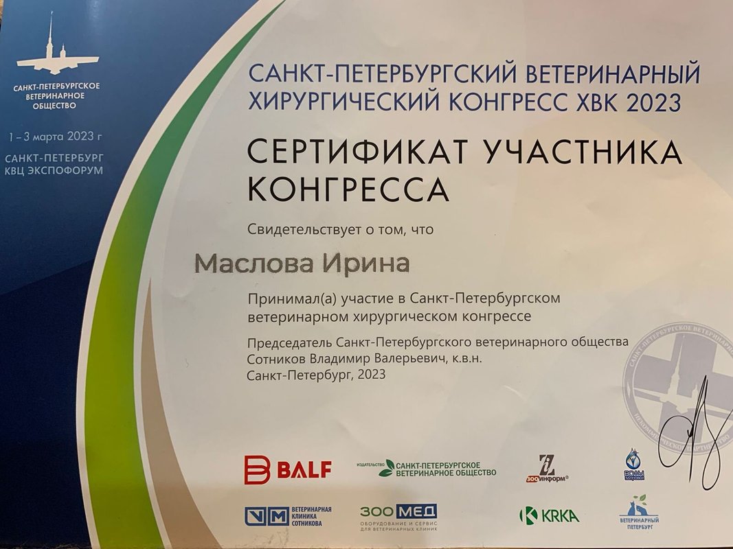 Документ или сертификат