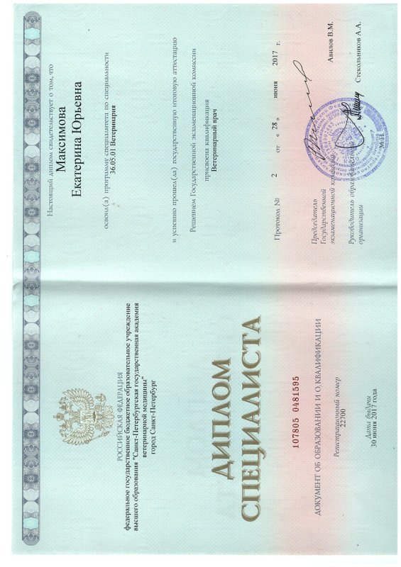 Документ или сертификат