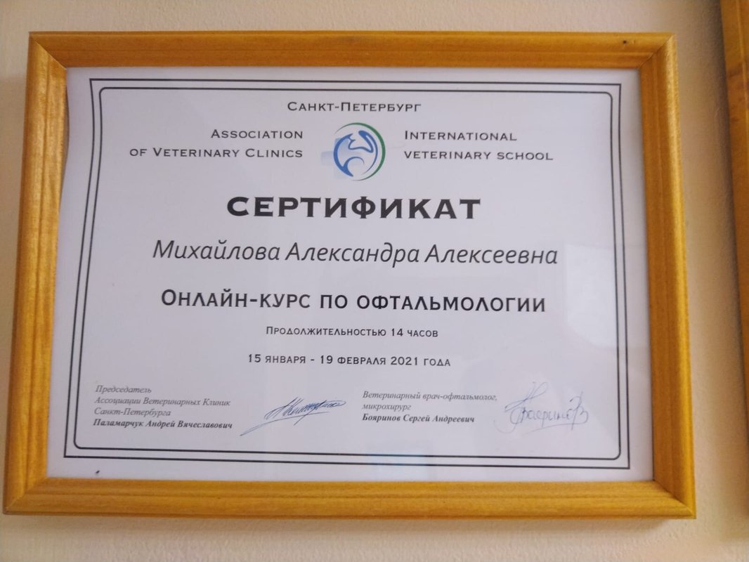 Документ или сертификат