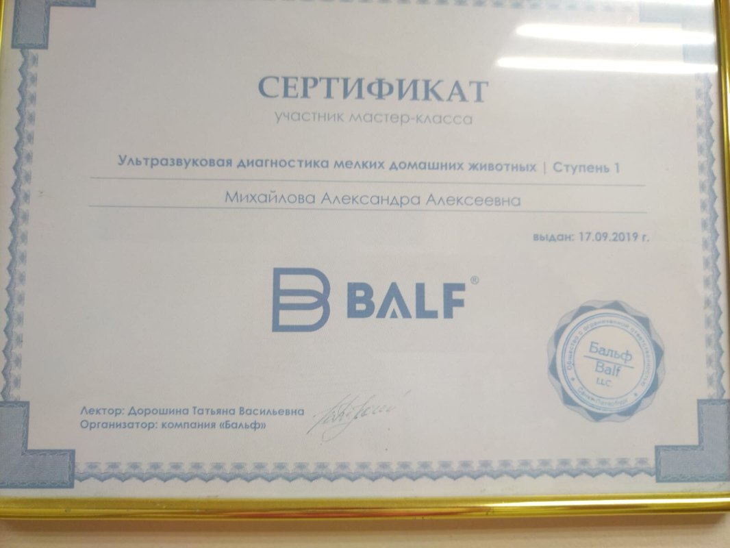 Документ или сертификат
