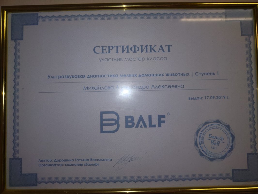 Документ или сертификат