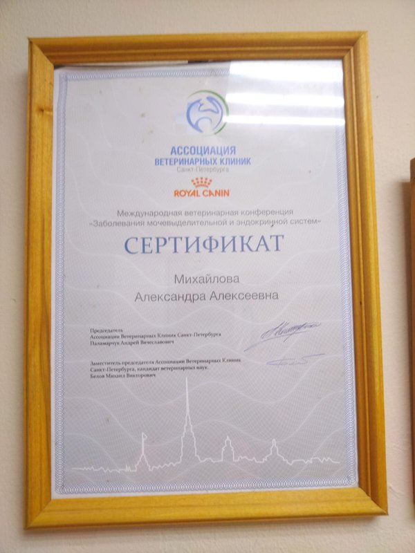 Документ или сертификат