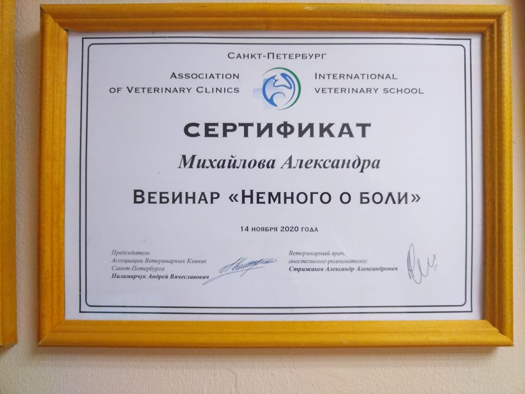 Документ или сертификат