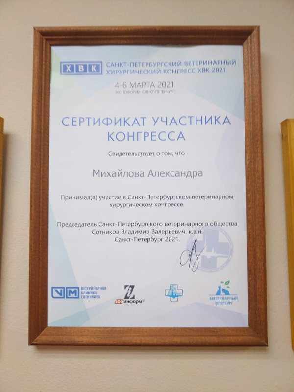 Документ или сертификат