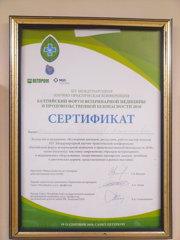Документ или сертификат