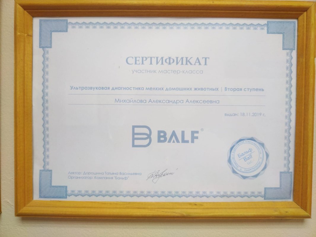 Документ или сертификат