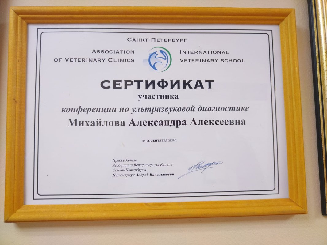 Документ или сертификат
