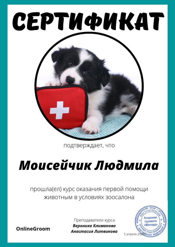 Документ или сертификат