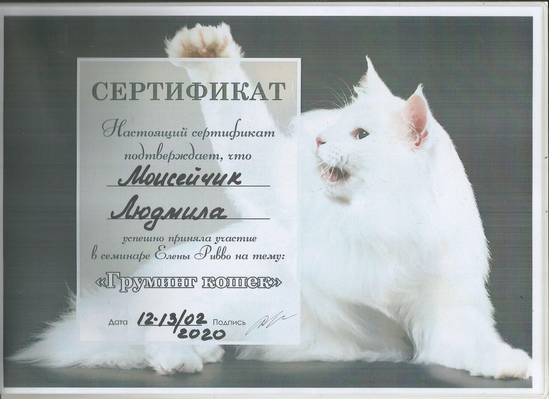 Документ или сертификат