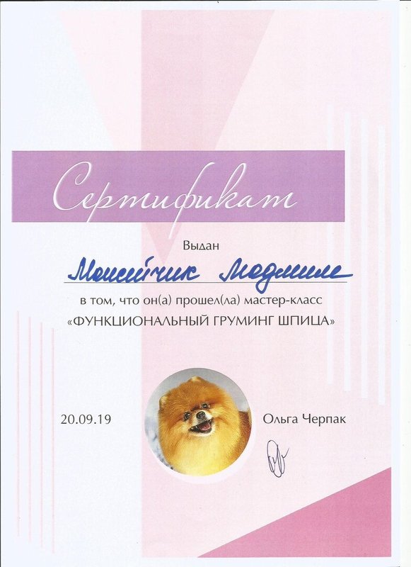 Документ или сертификат