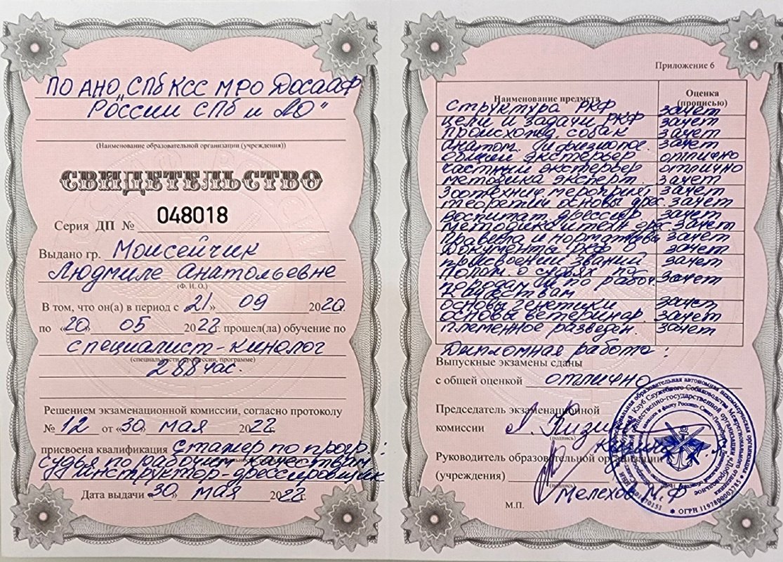 Документ или сертификат
