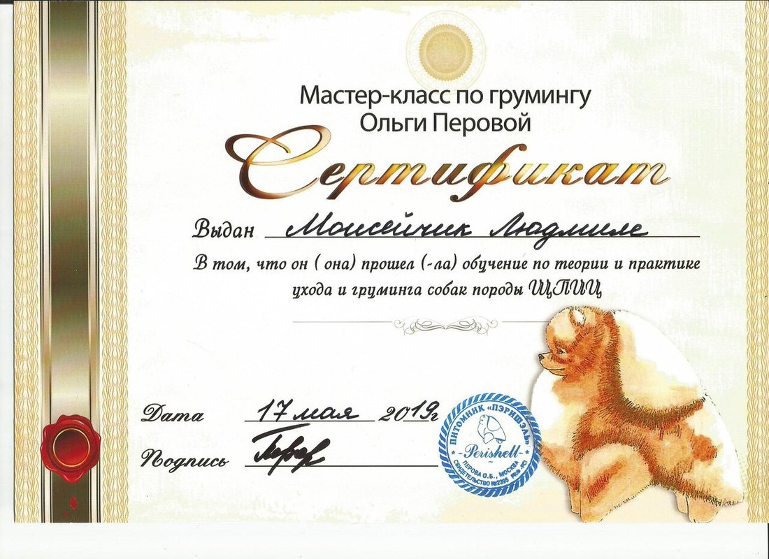 Документ или сертификат