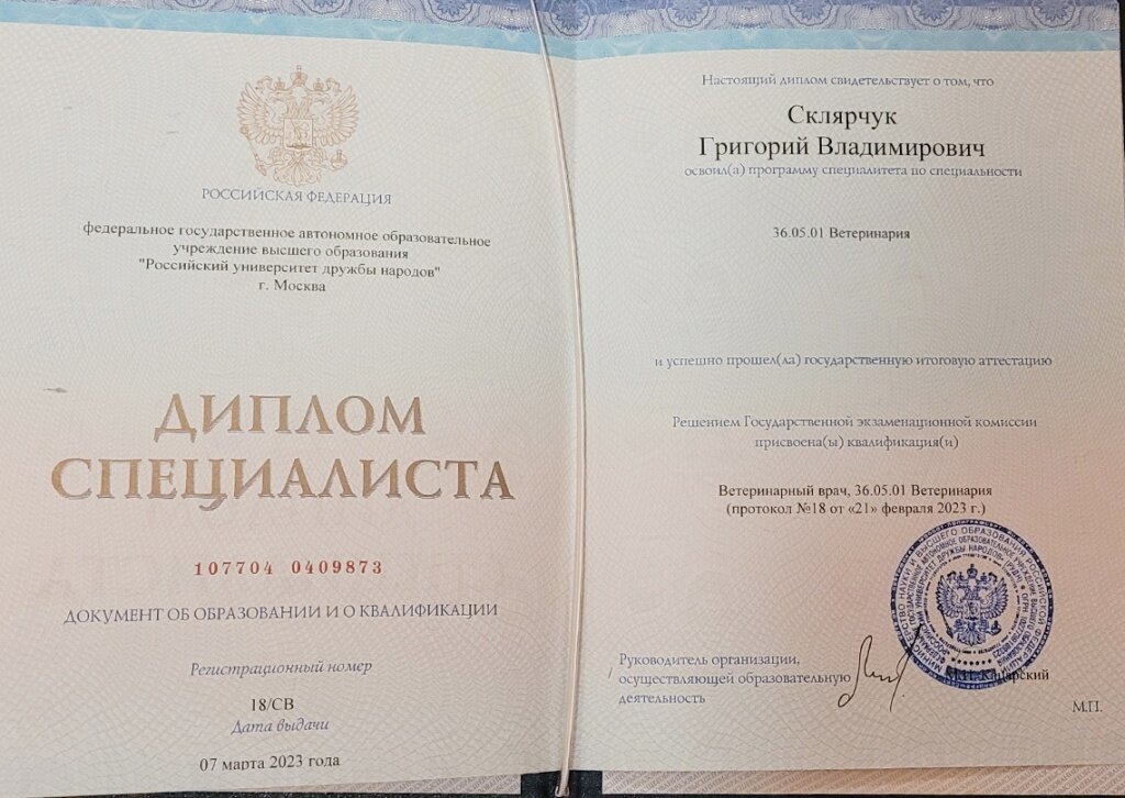 Документ или сертификат