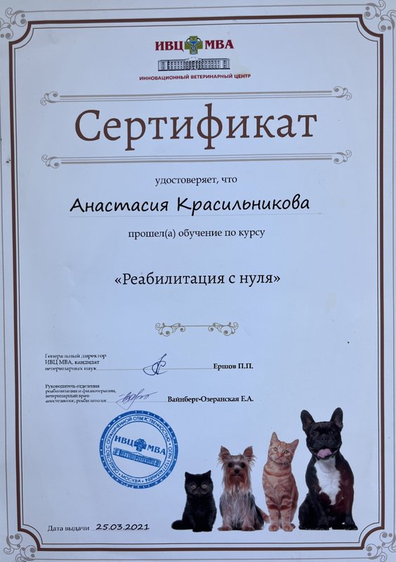 Документ или сертификат