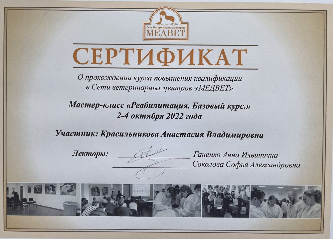 Документ или сертификат