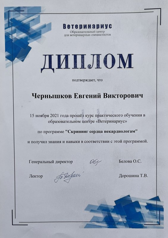 Документ или сертификат