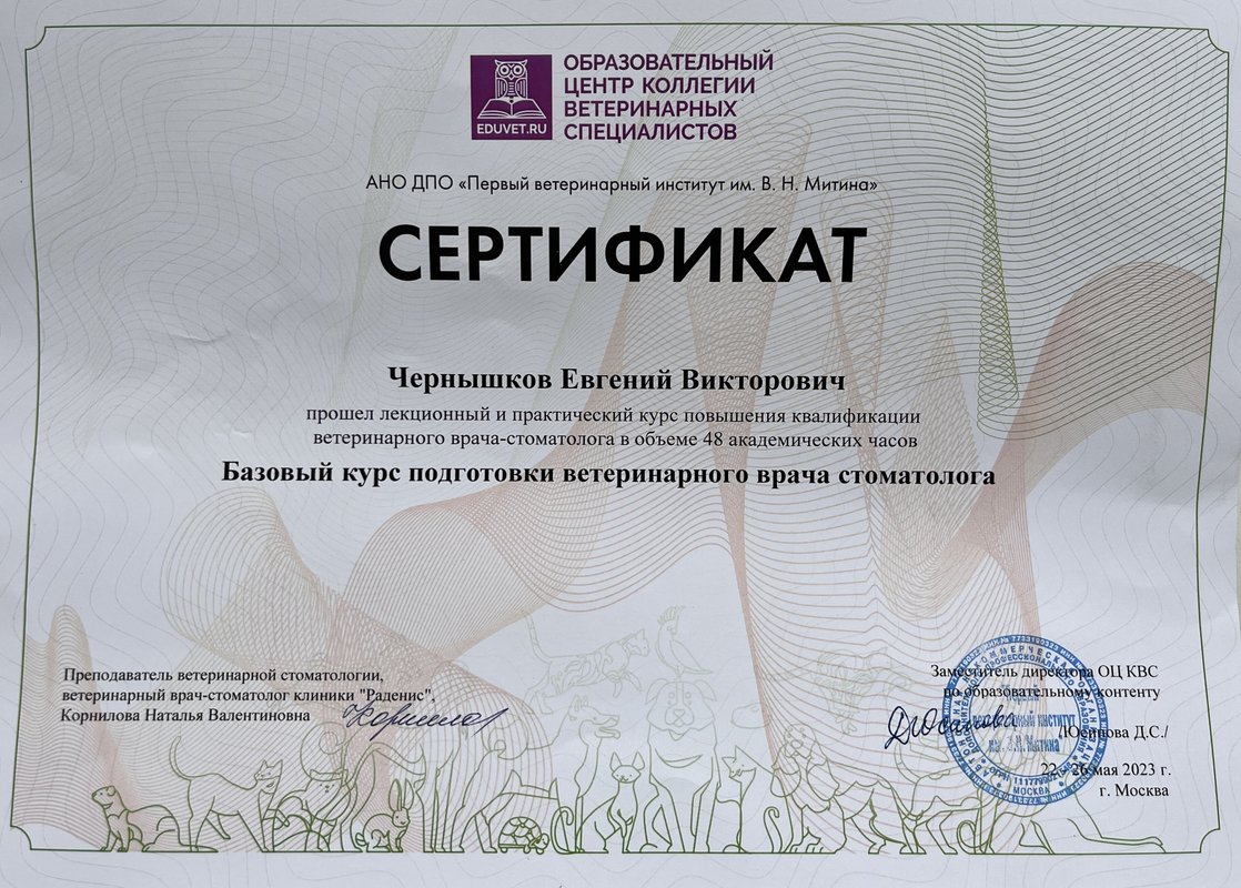 Документ или сертификат